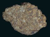 Reganne 003 (H4 chondrite)