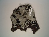 Seymchan (pallasite)